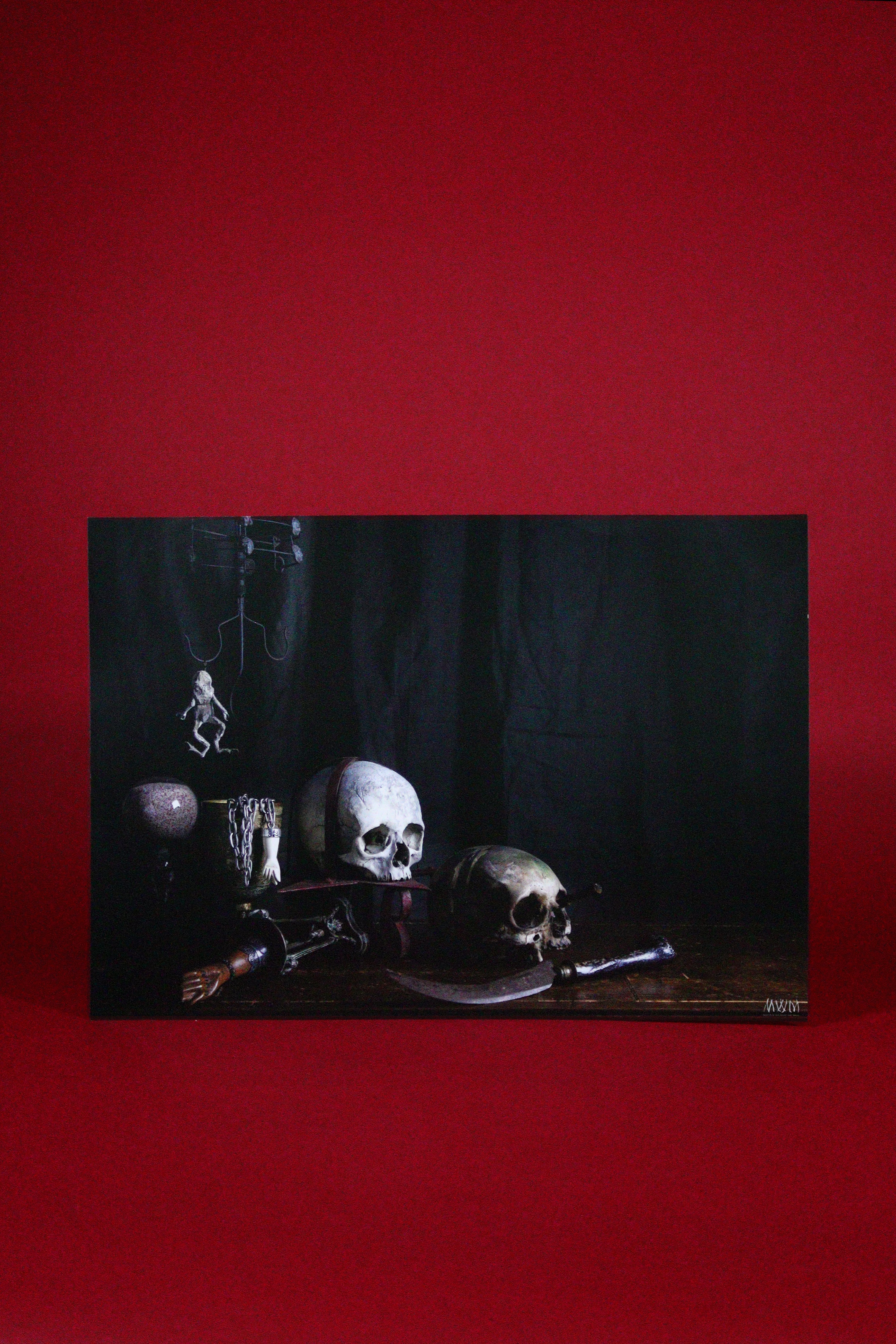 Still life arrangement with skulls and other objects on a dark surface against a red background