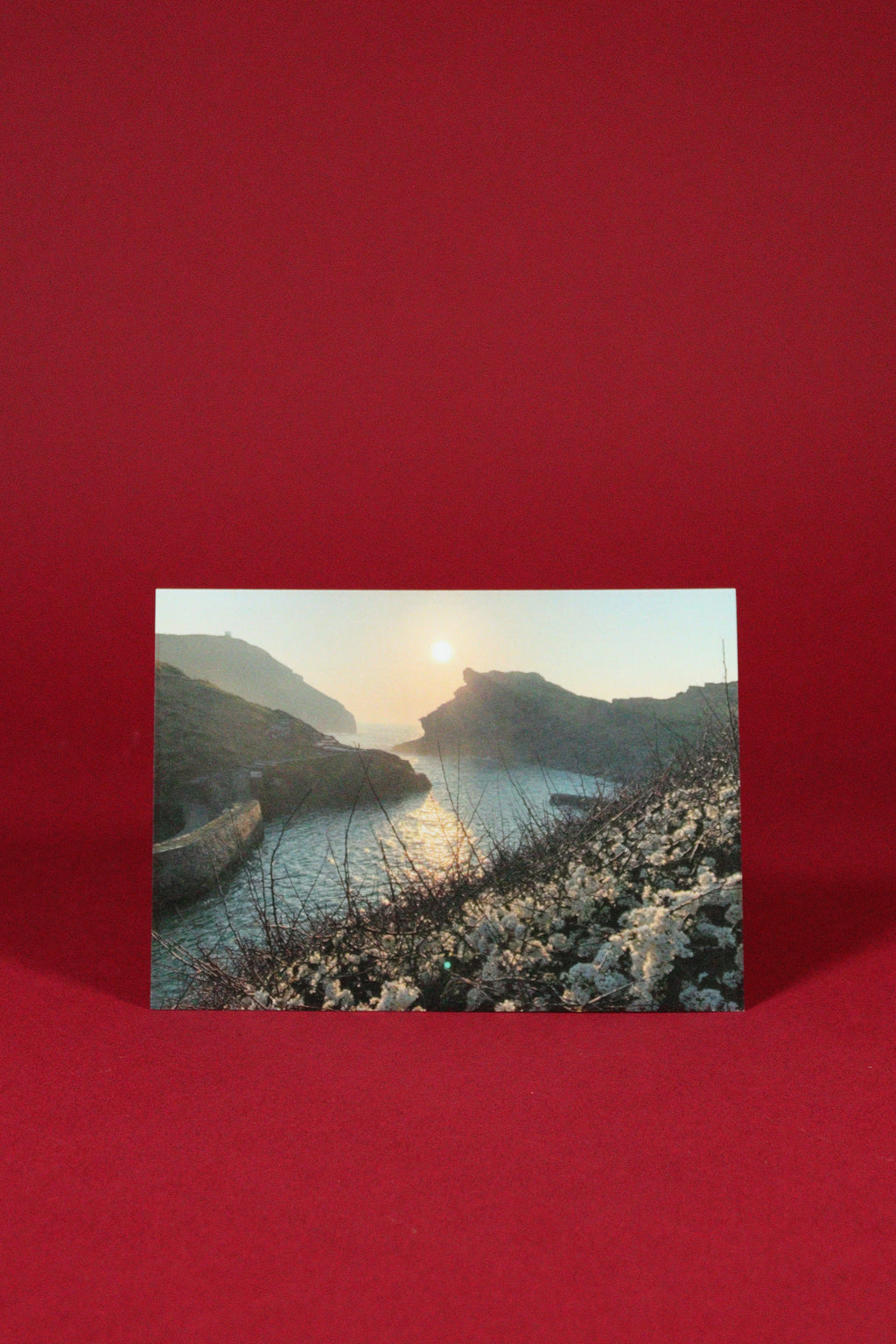 Museum Postcards, Set of 4 Postcards