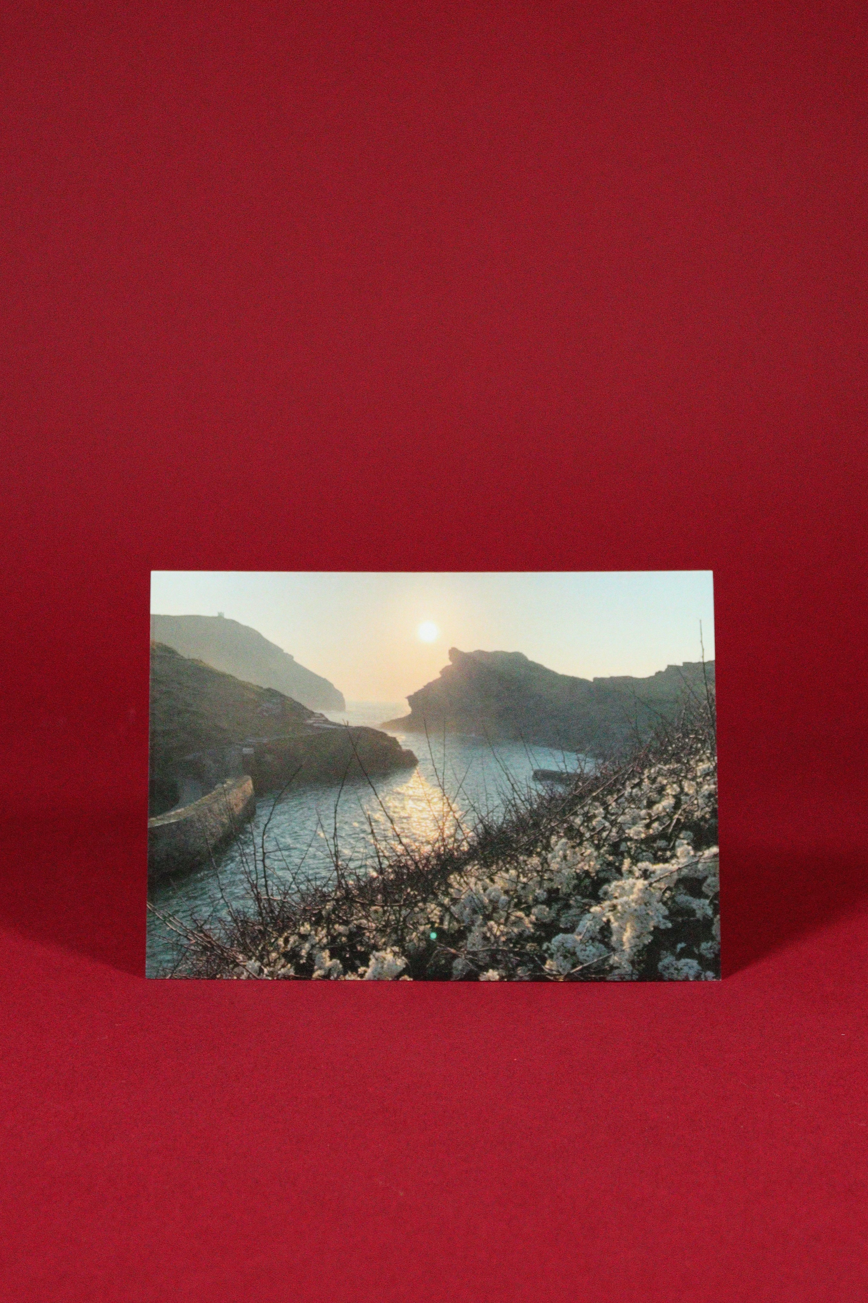 Museum Postcards, Set of 4 Postcards
