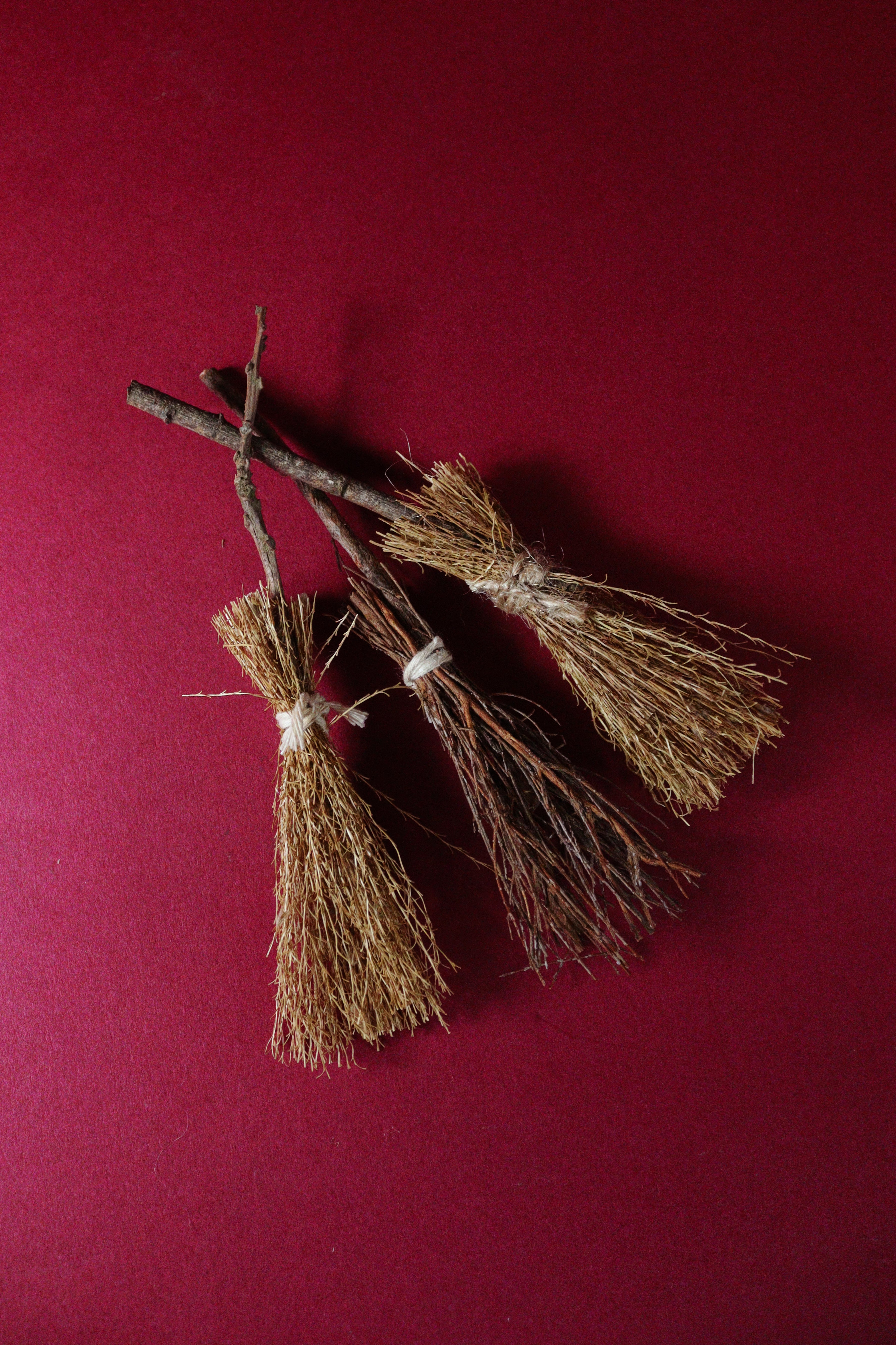 Miniature Witch Broom